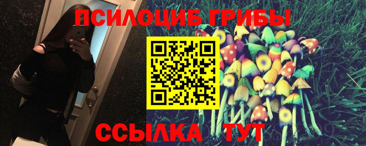 Галлюциногенные грибы MAGIC MUSHROOMS Кубинка
